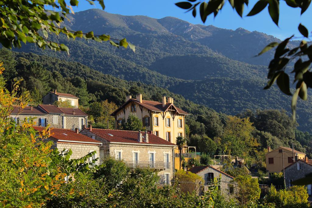 Gite Du Chalet Pietri Olivese Exteriör bild