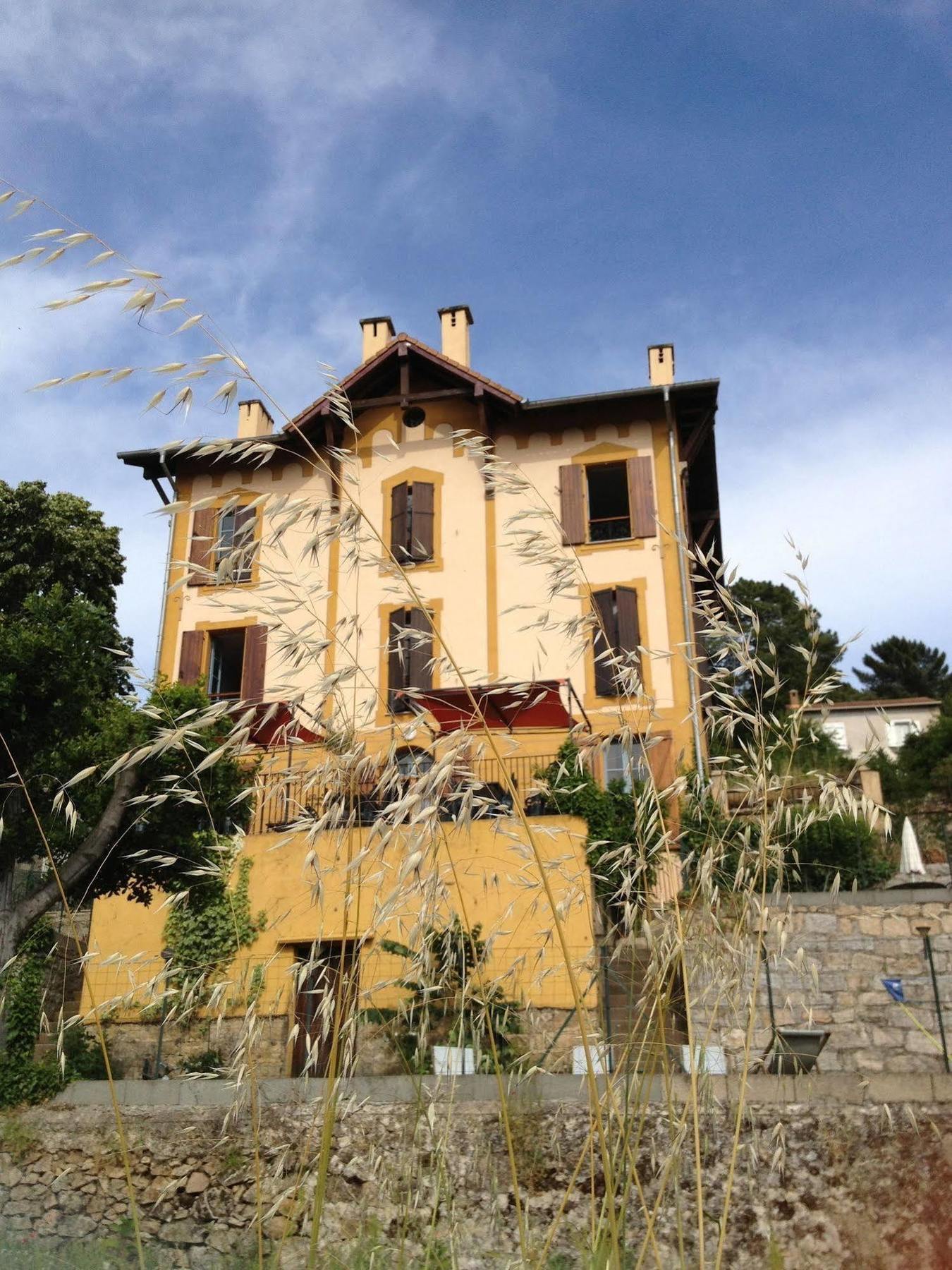 Gite Du Chalet Pietri Olivese Exteriör bild